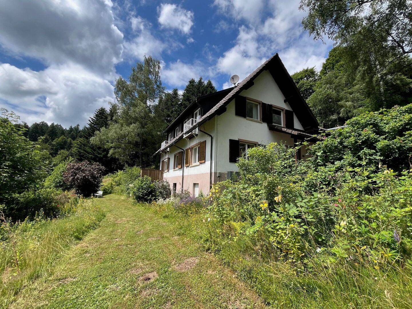 Bild 4