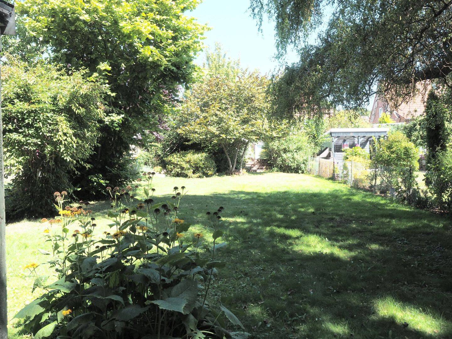 Bild 7