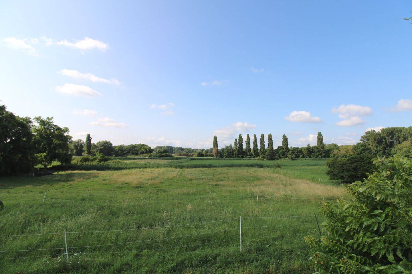 image-66250512