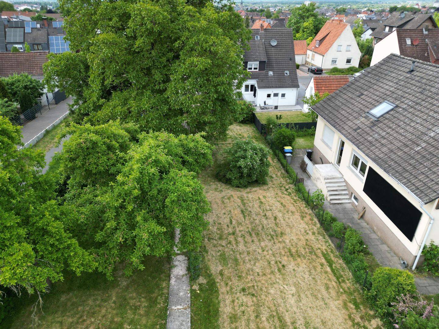 image-66253684