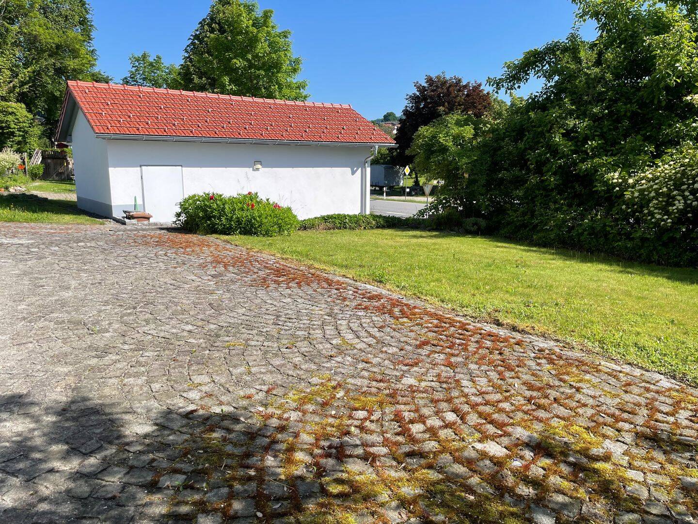 Bild 6