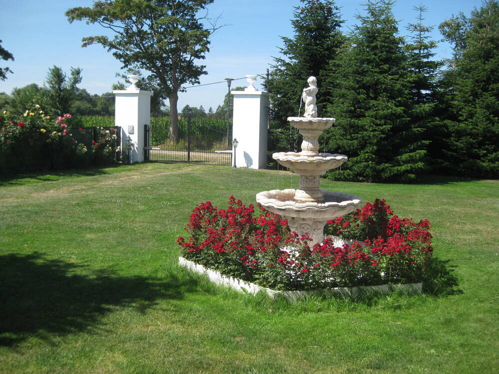 image-66259671