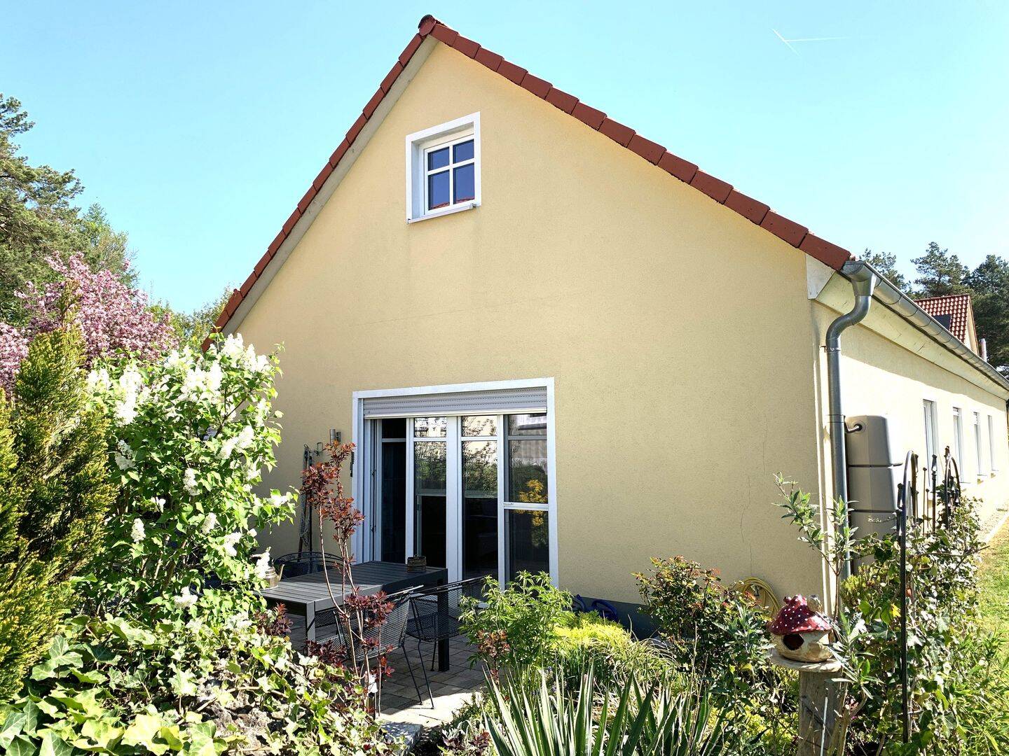 Bild 9