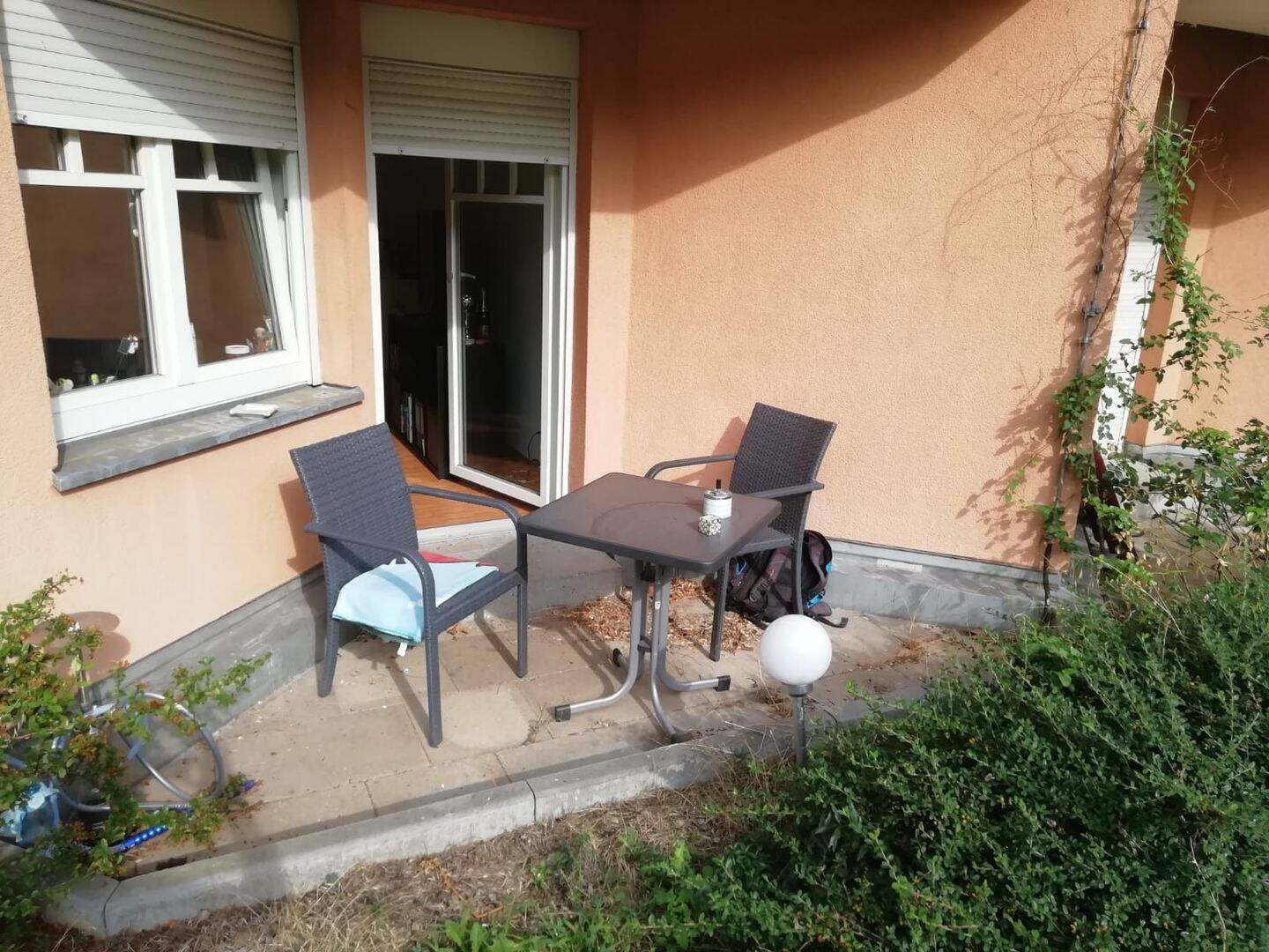 image-66266789