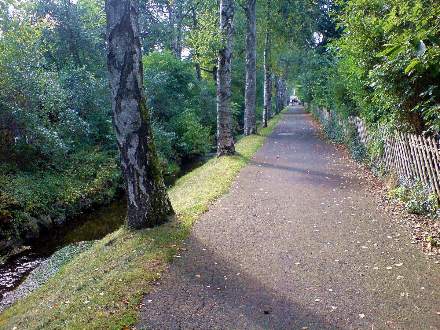 Bild 9