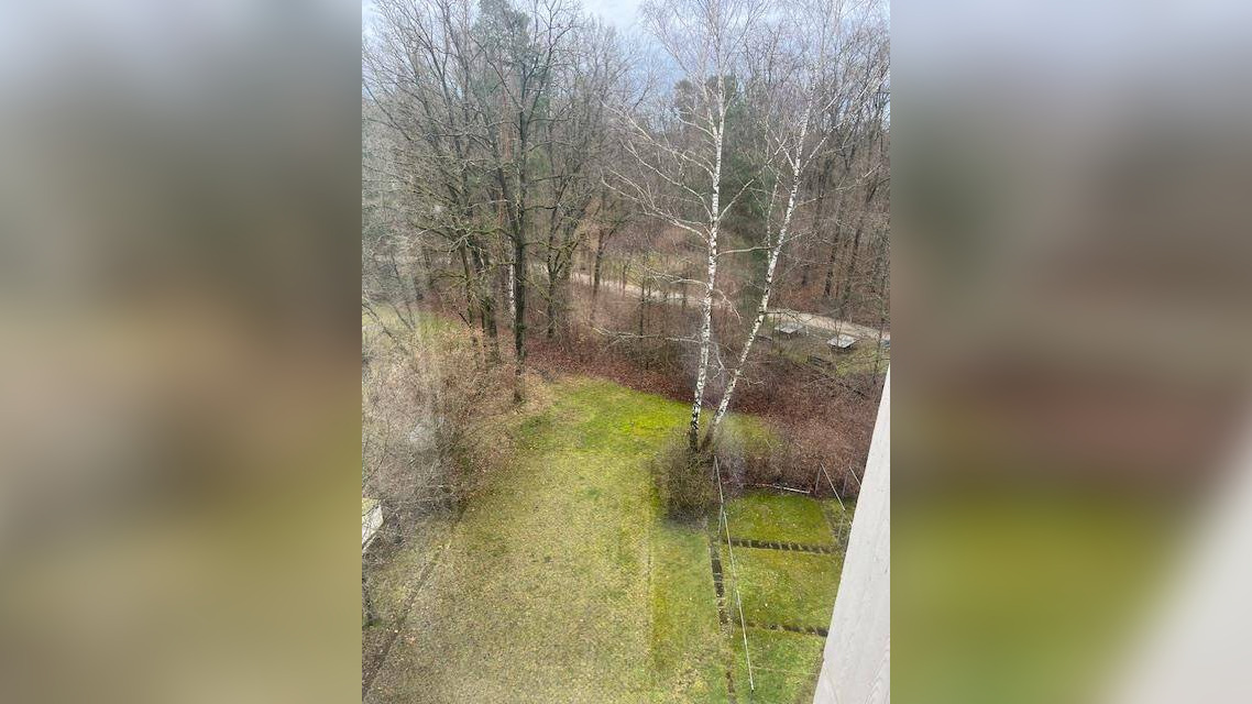 image-66279521