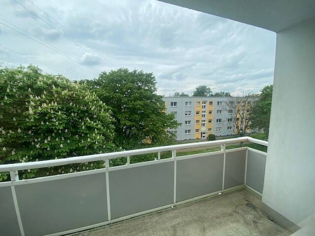 image-66283742