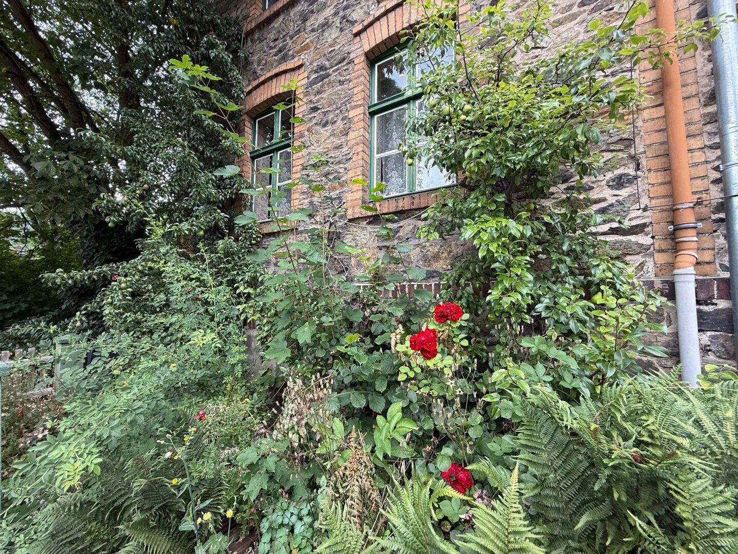 image-66288257