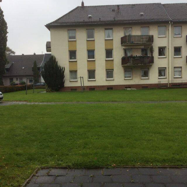 image-66298715