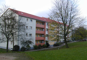 image-66298730