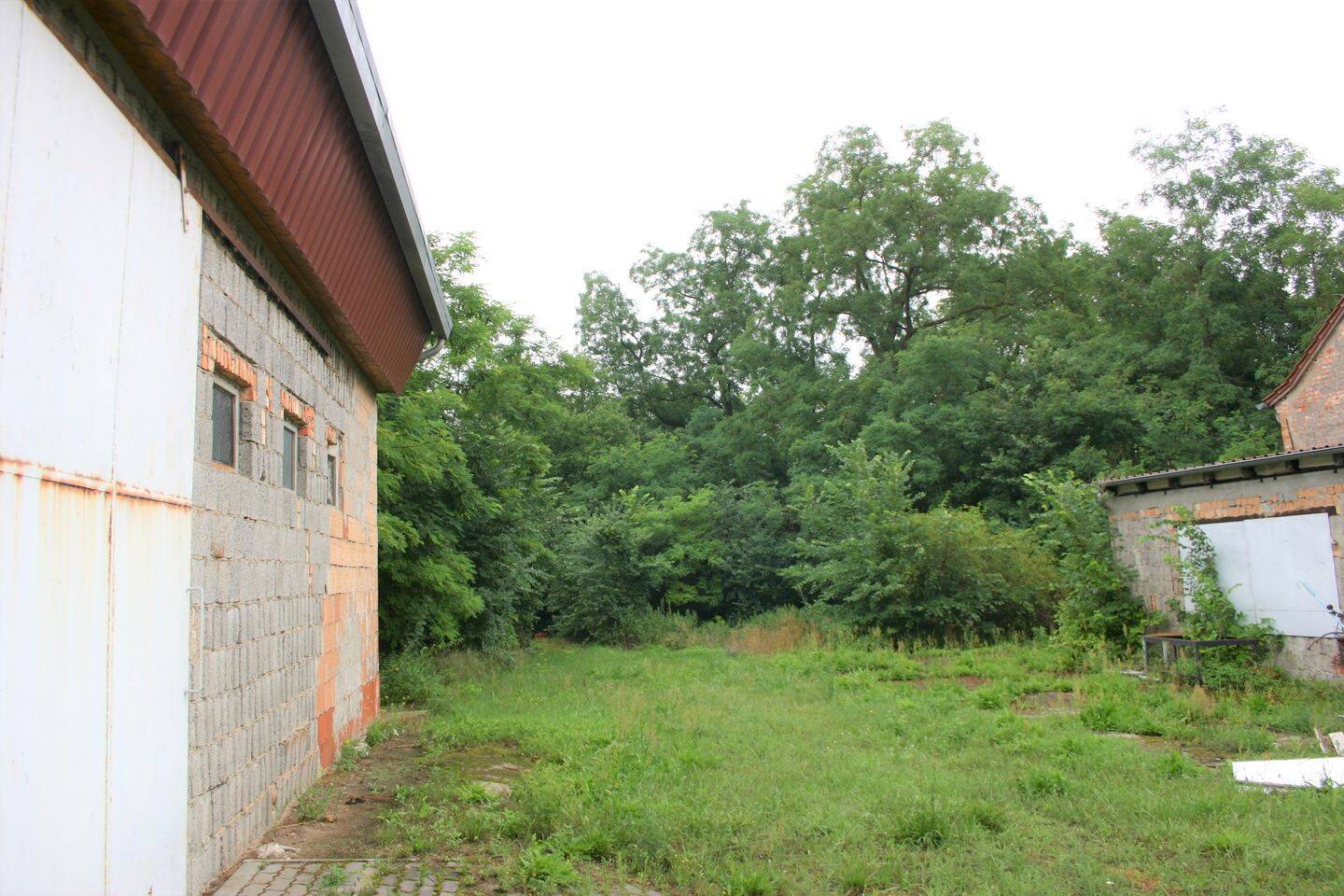 Bild 8