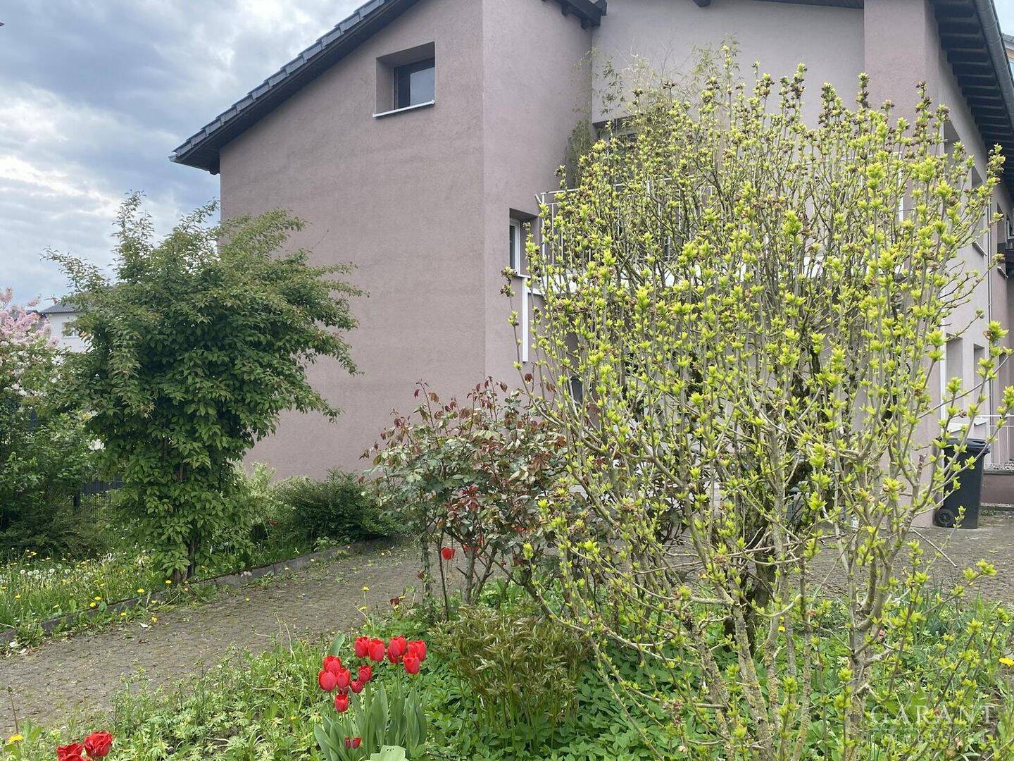 Bild 1
