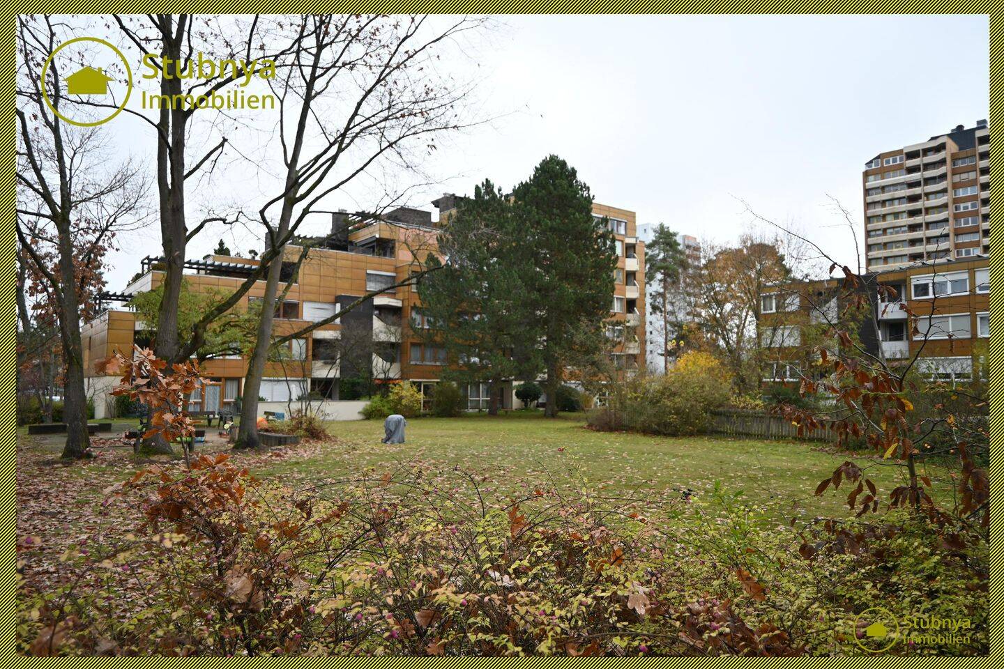 image-66331789