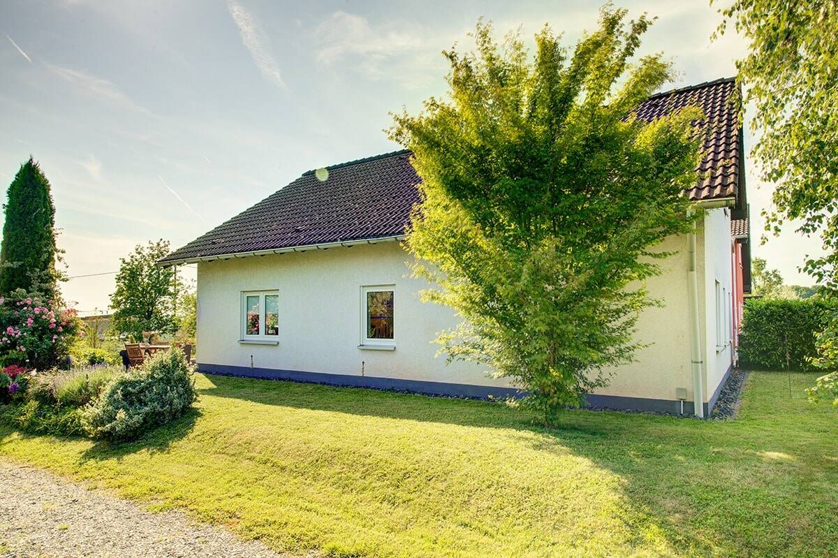 image-66345493