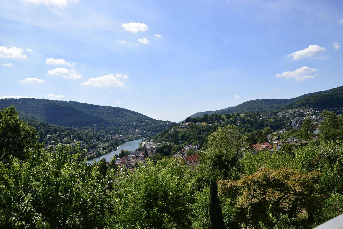 image-66352452
