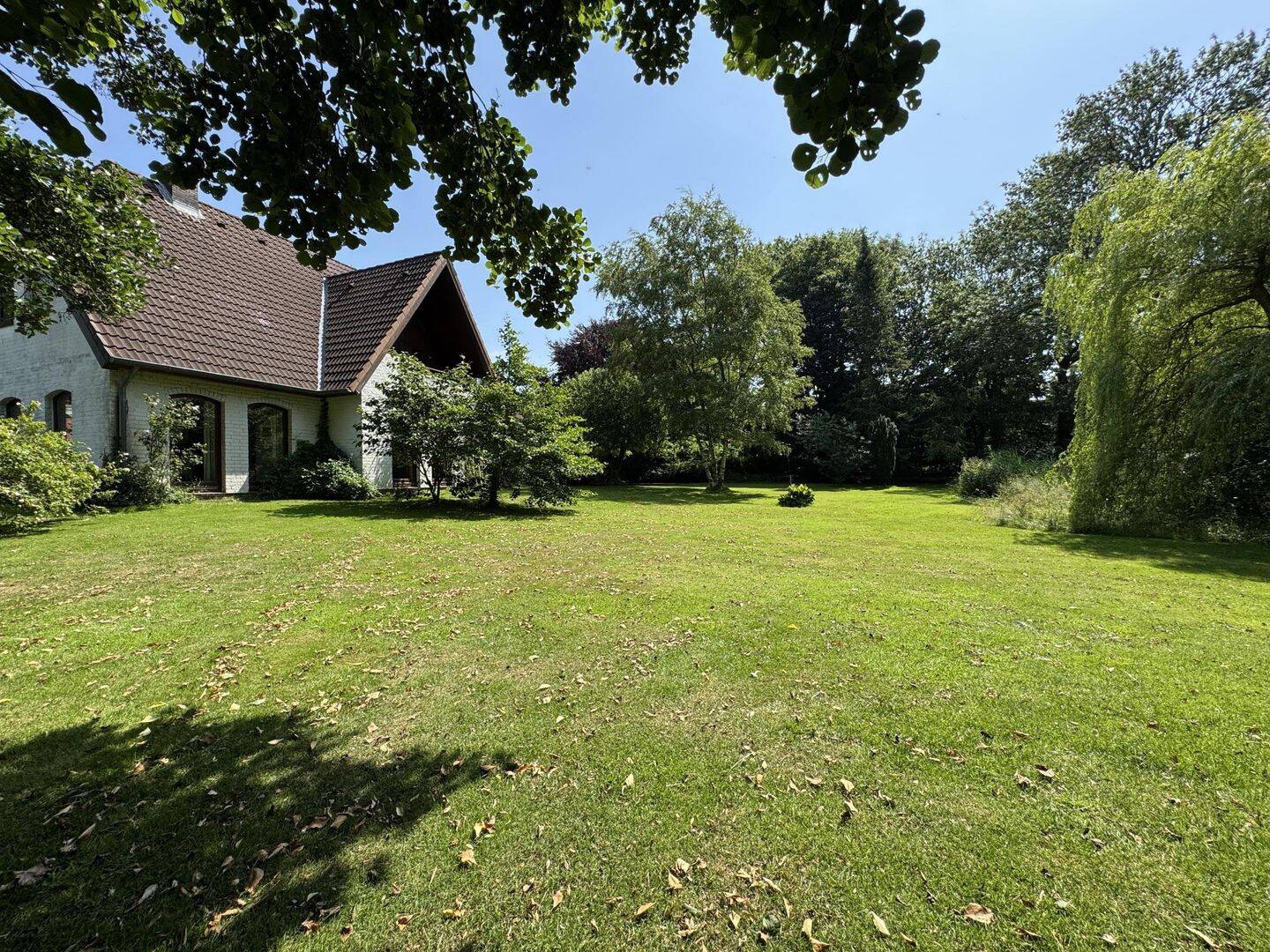 Bild 7