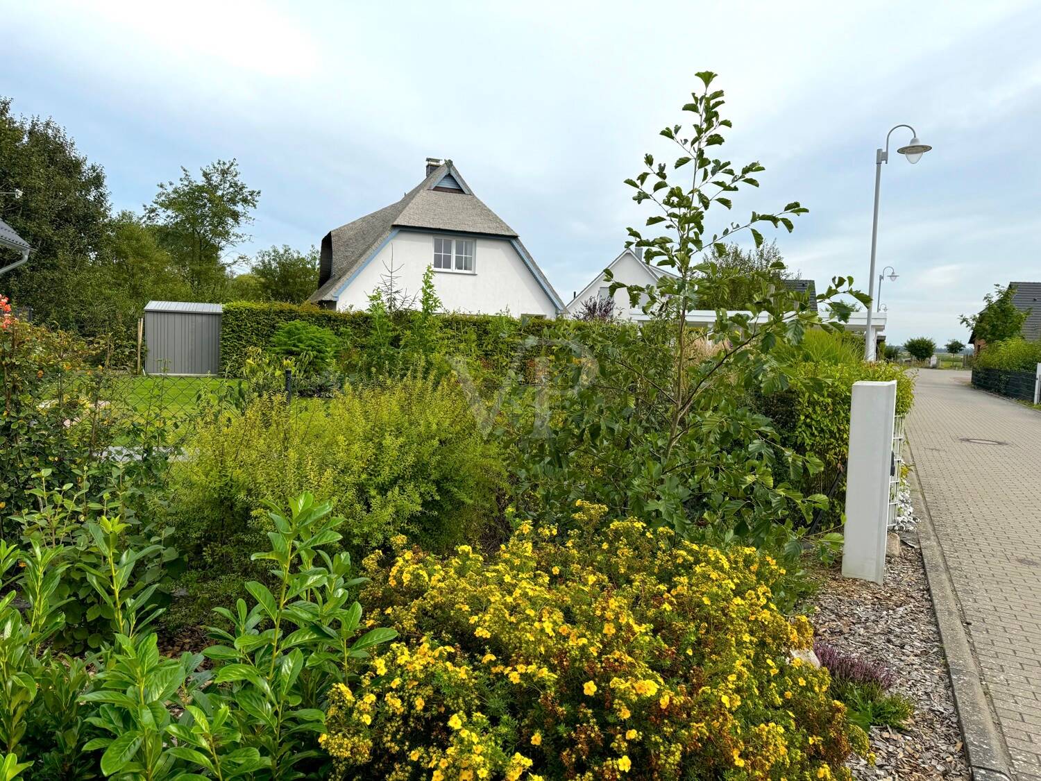 Bild 4