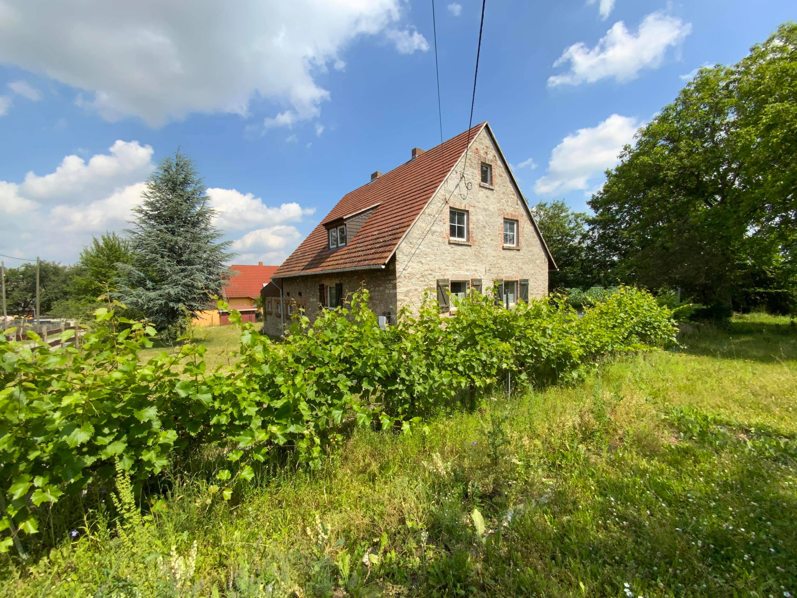 Bild 6