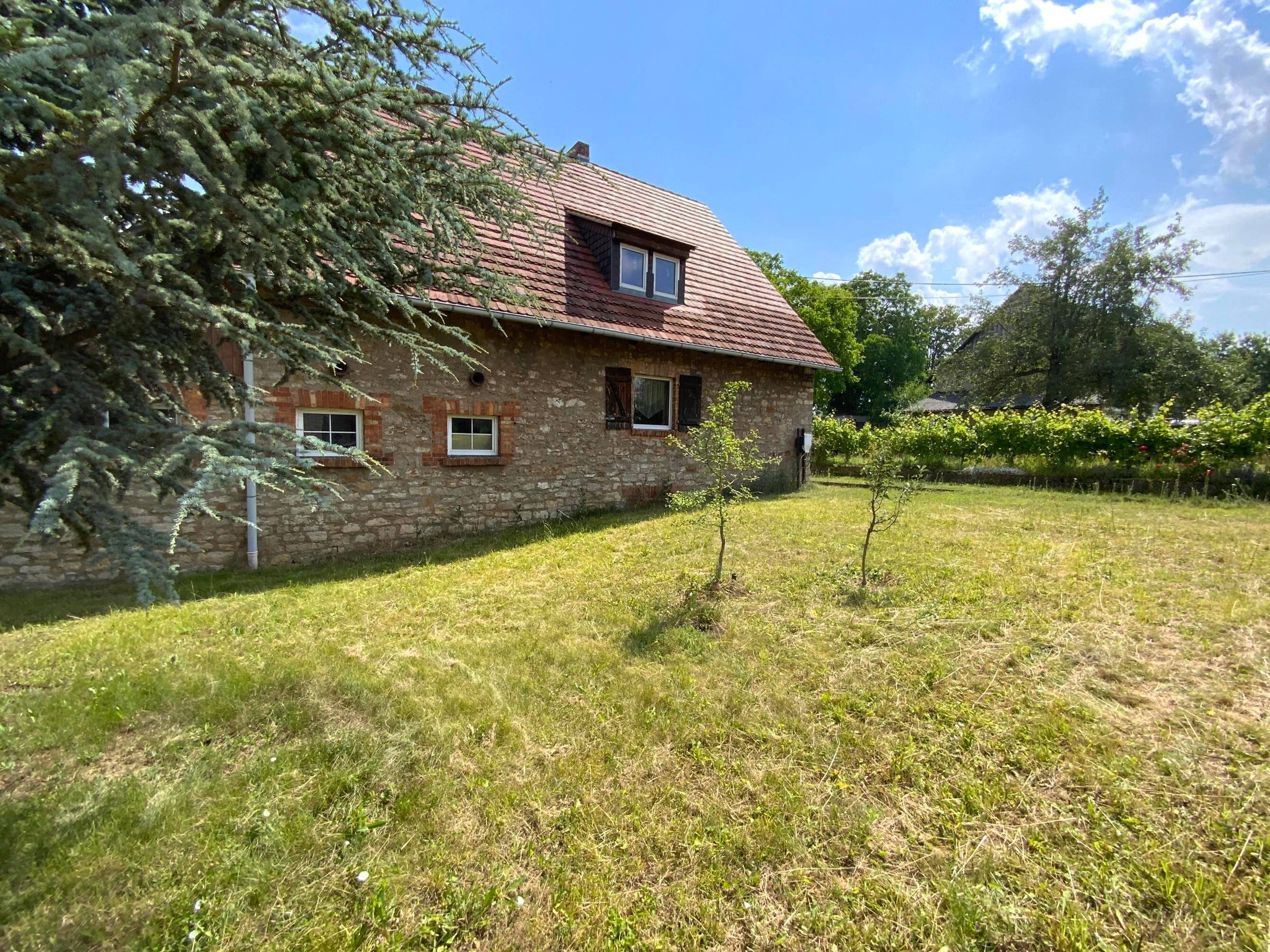 Bild 7