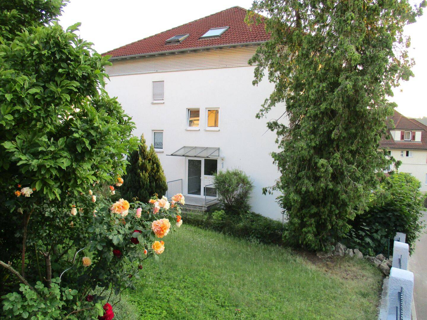 Bild 7