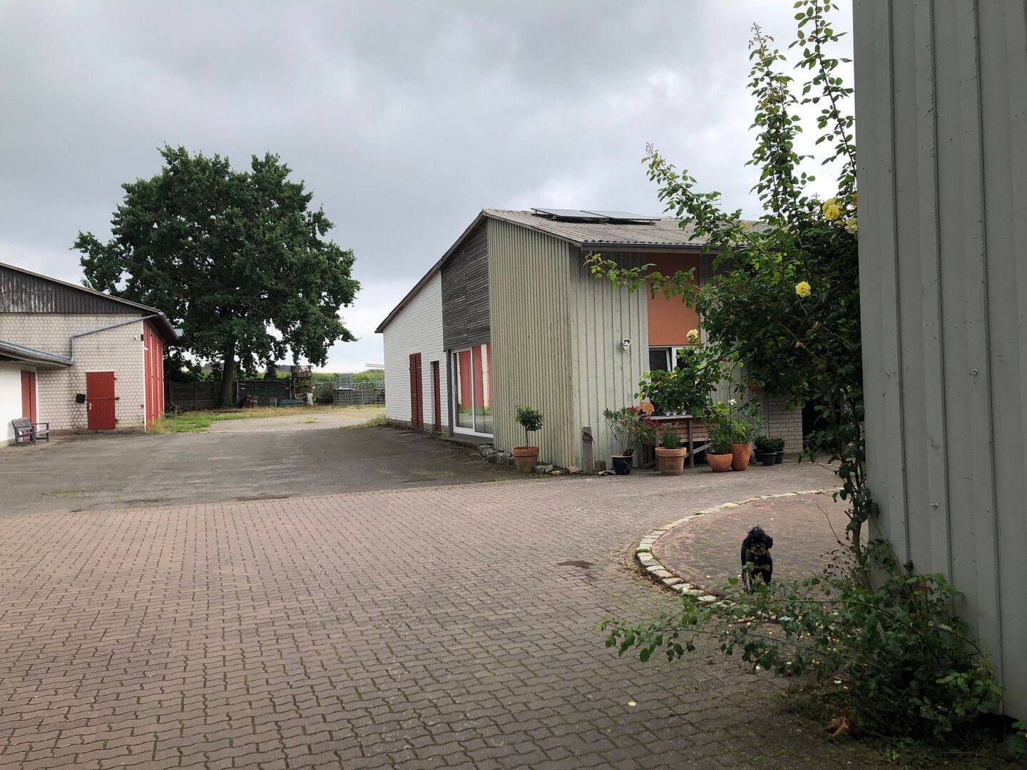 Bild 5
