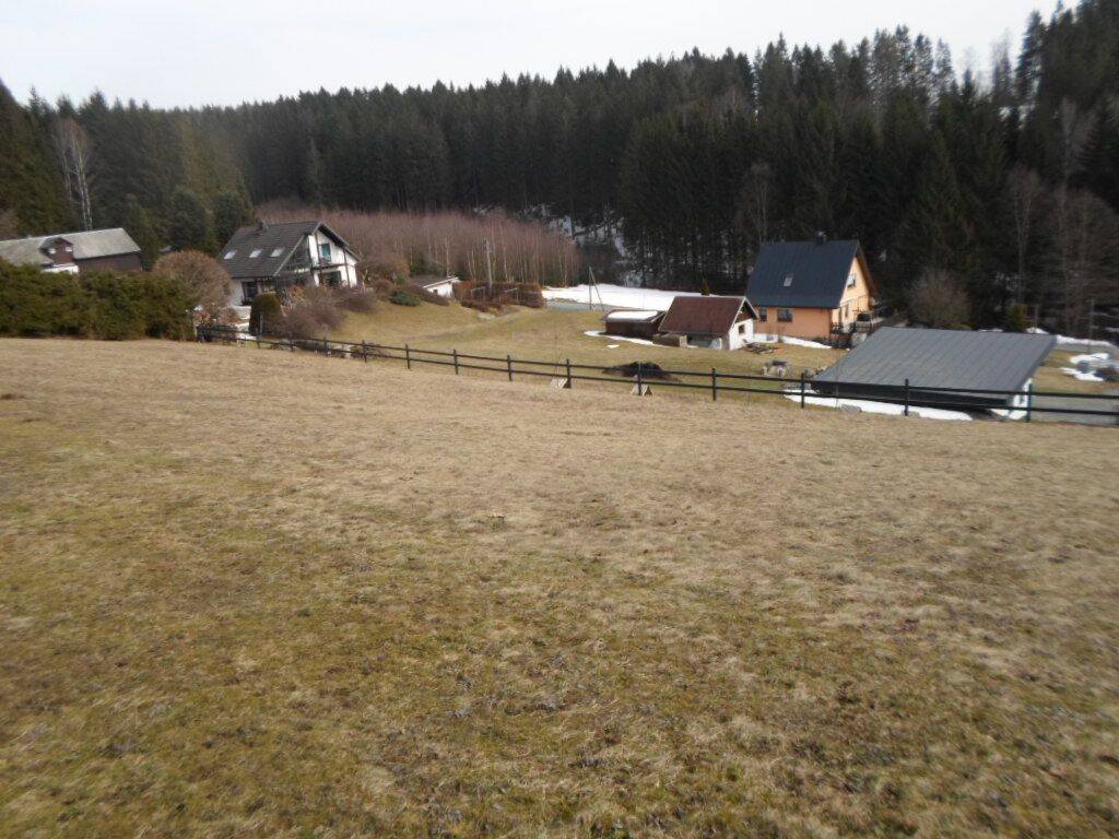 image-66402112