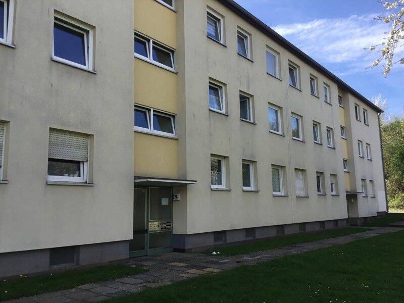 image-66422693