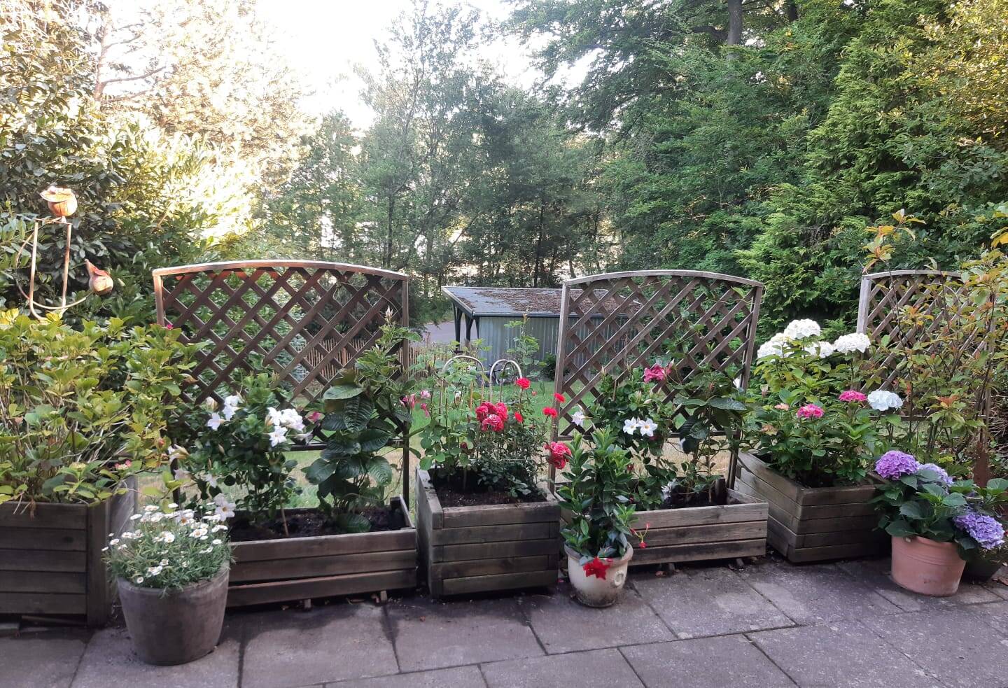Bild 4