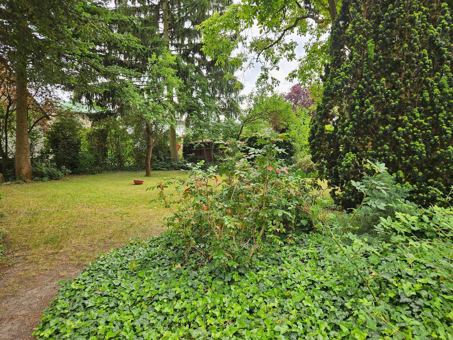 image-64593462