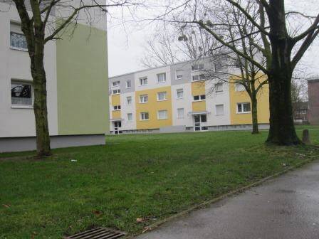 image-66473575