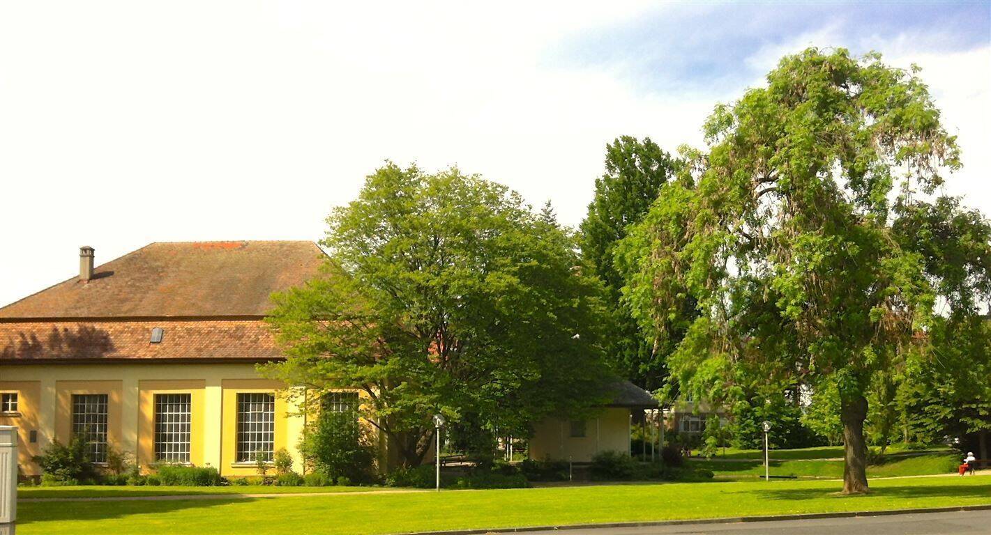 Bild 6