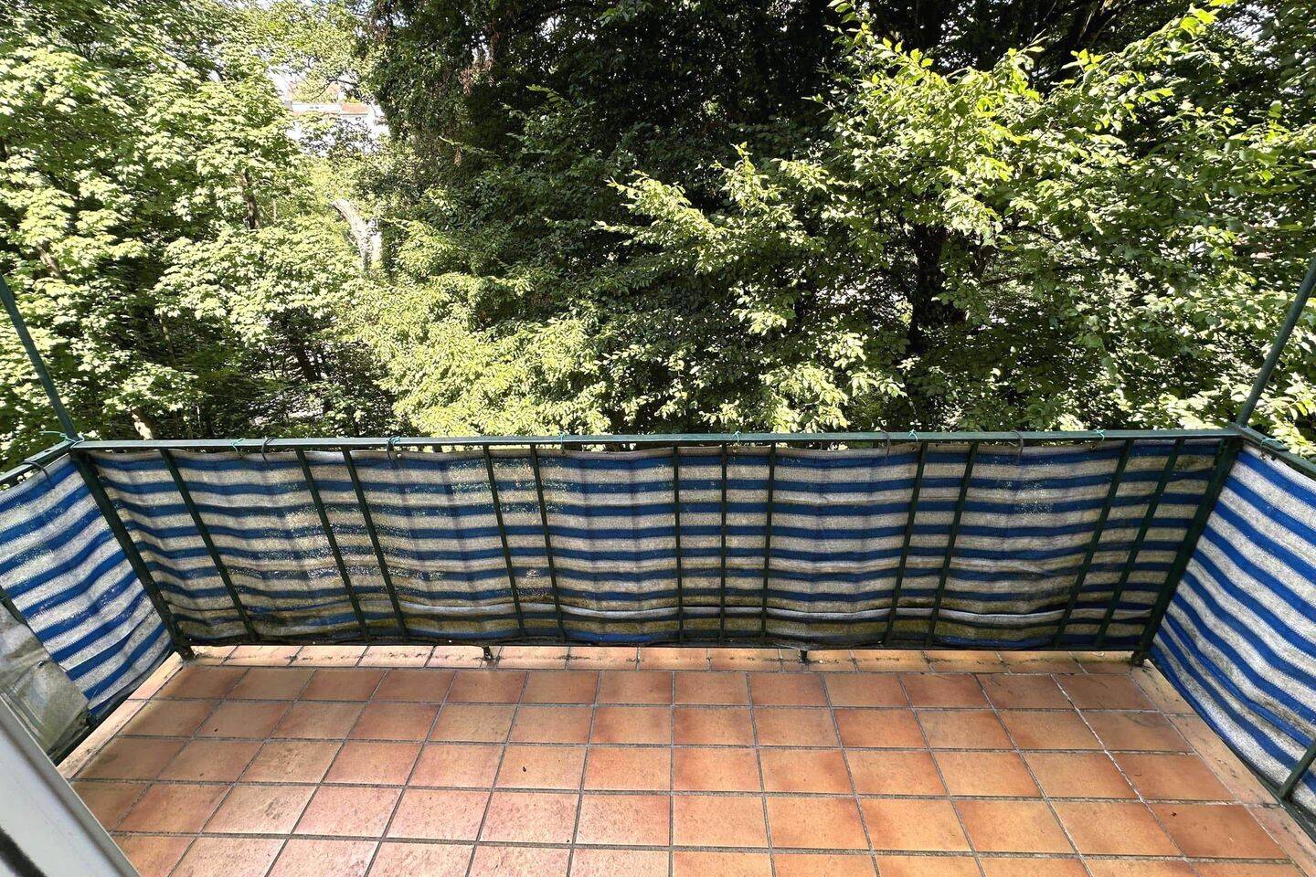 image-66477871