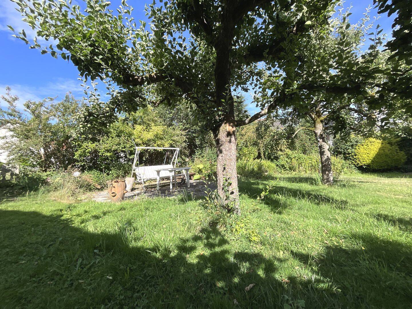 image-64726061