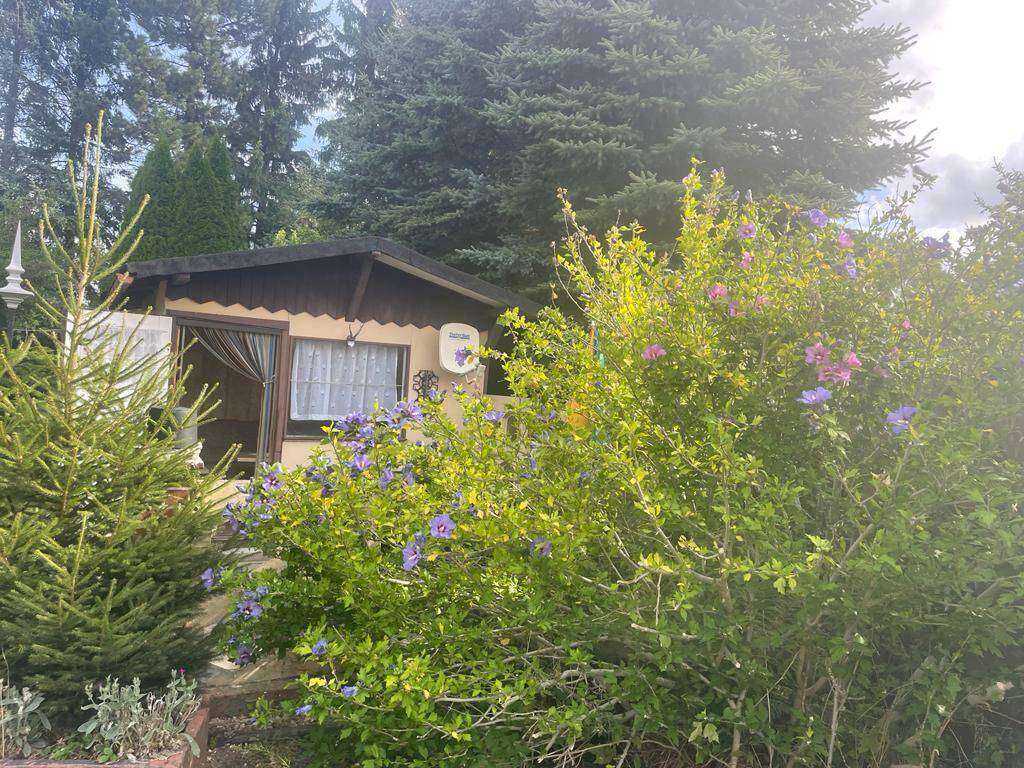 Bild 4