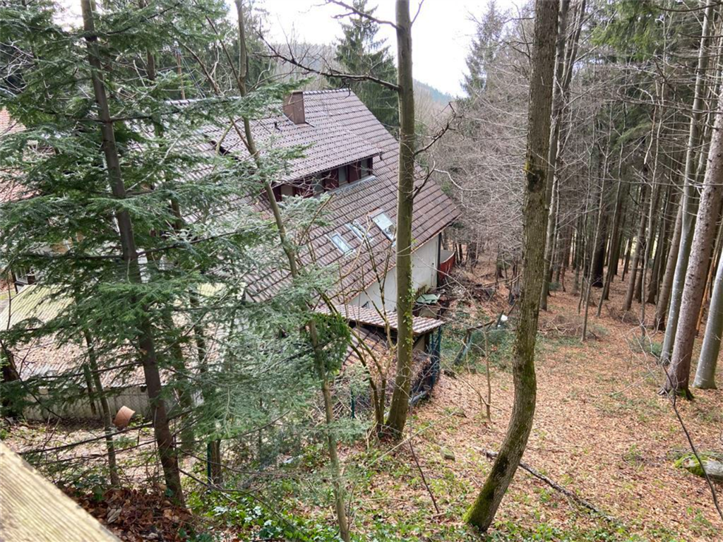 Bild 6