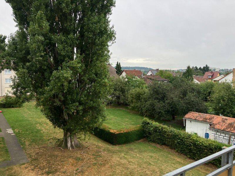 image-66503416