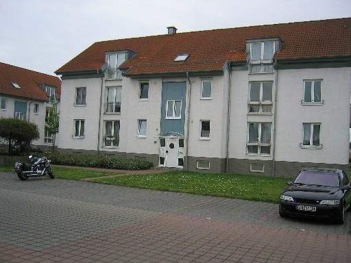 image-66505546