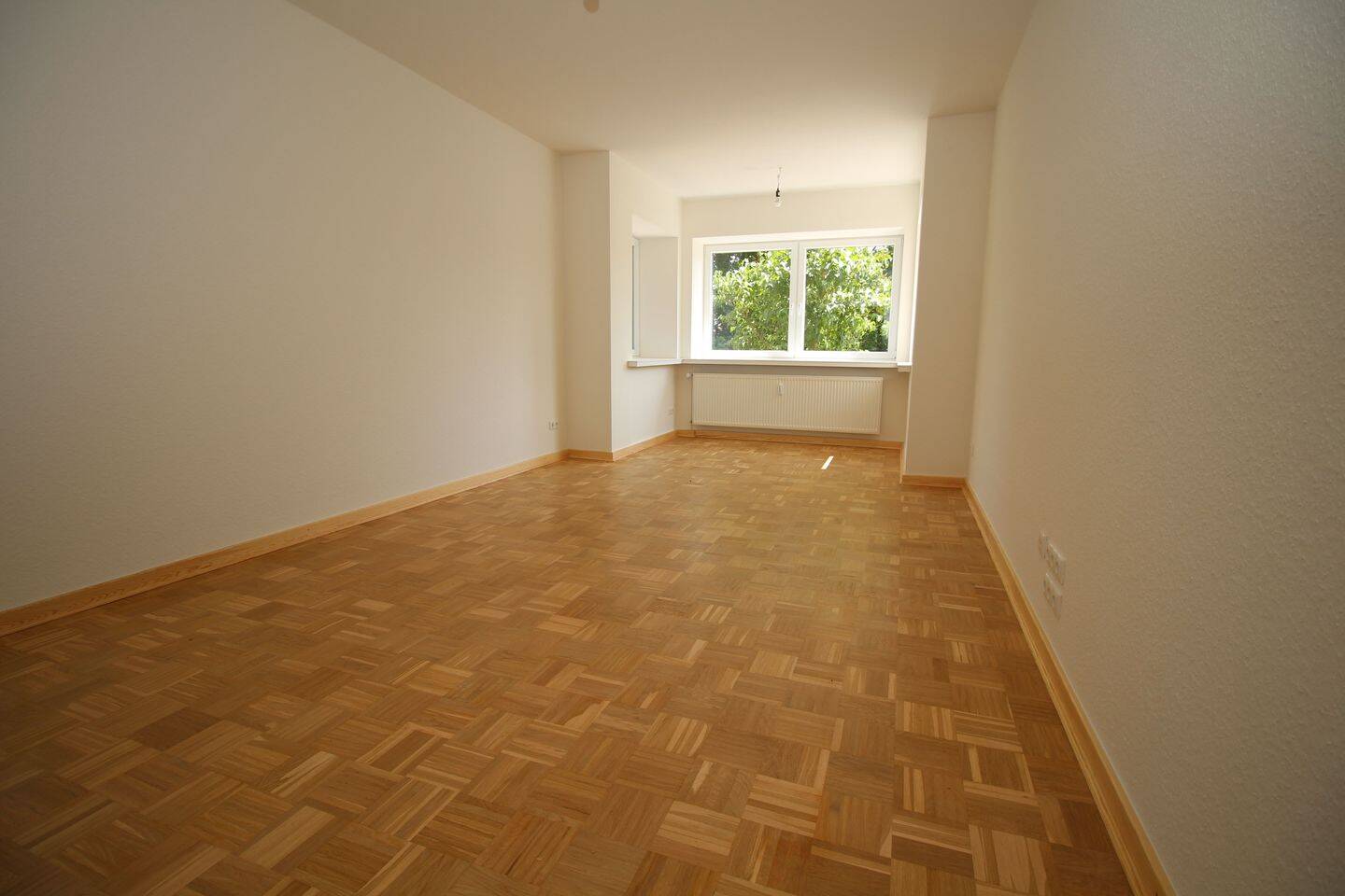 image-66508287