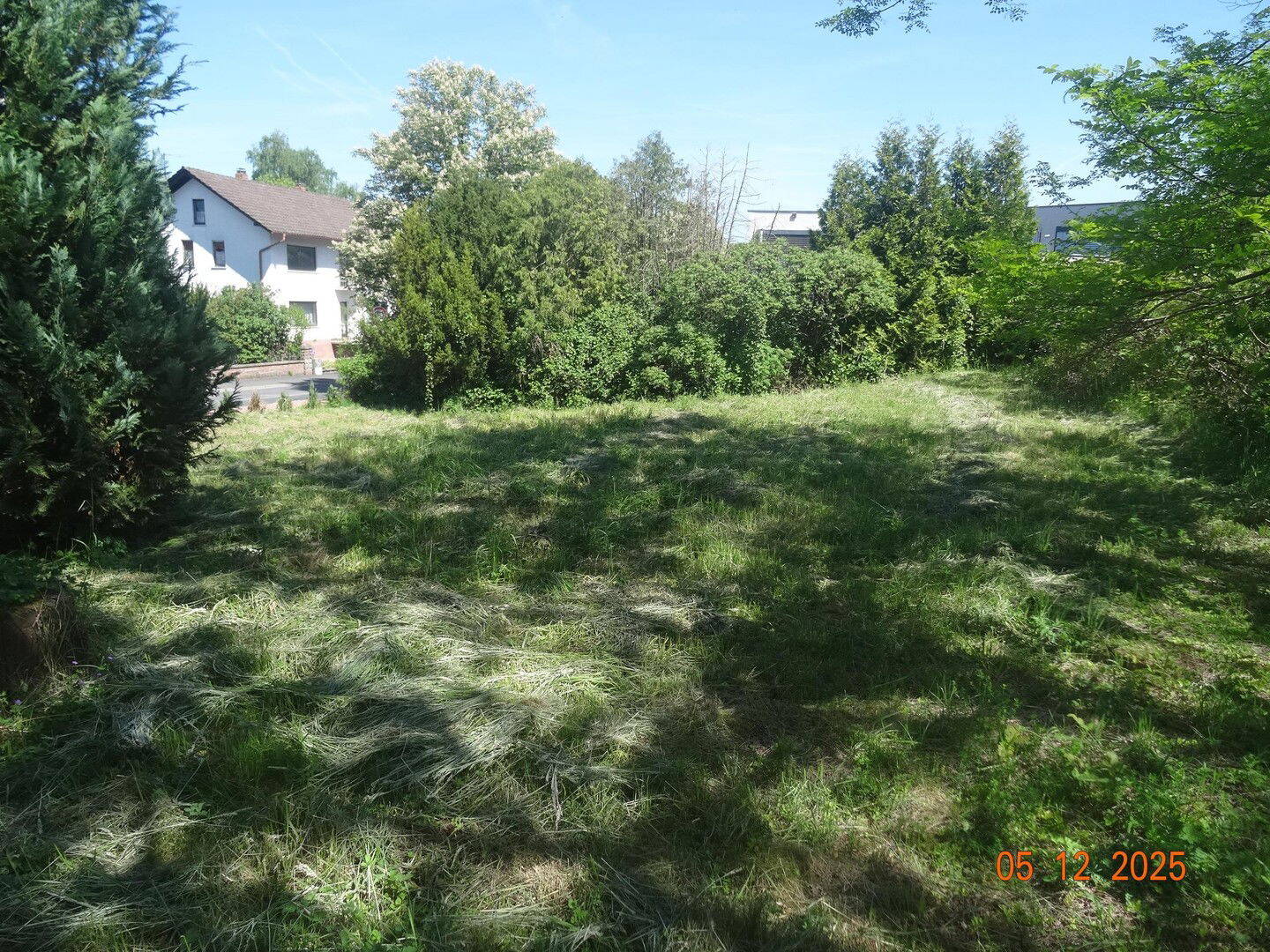image-66513064