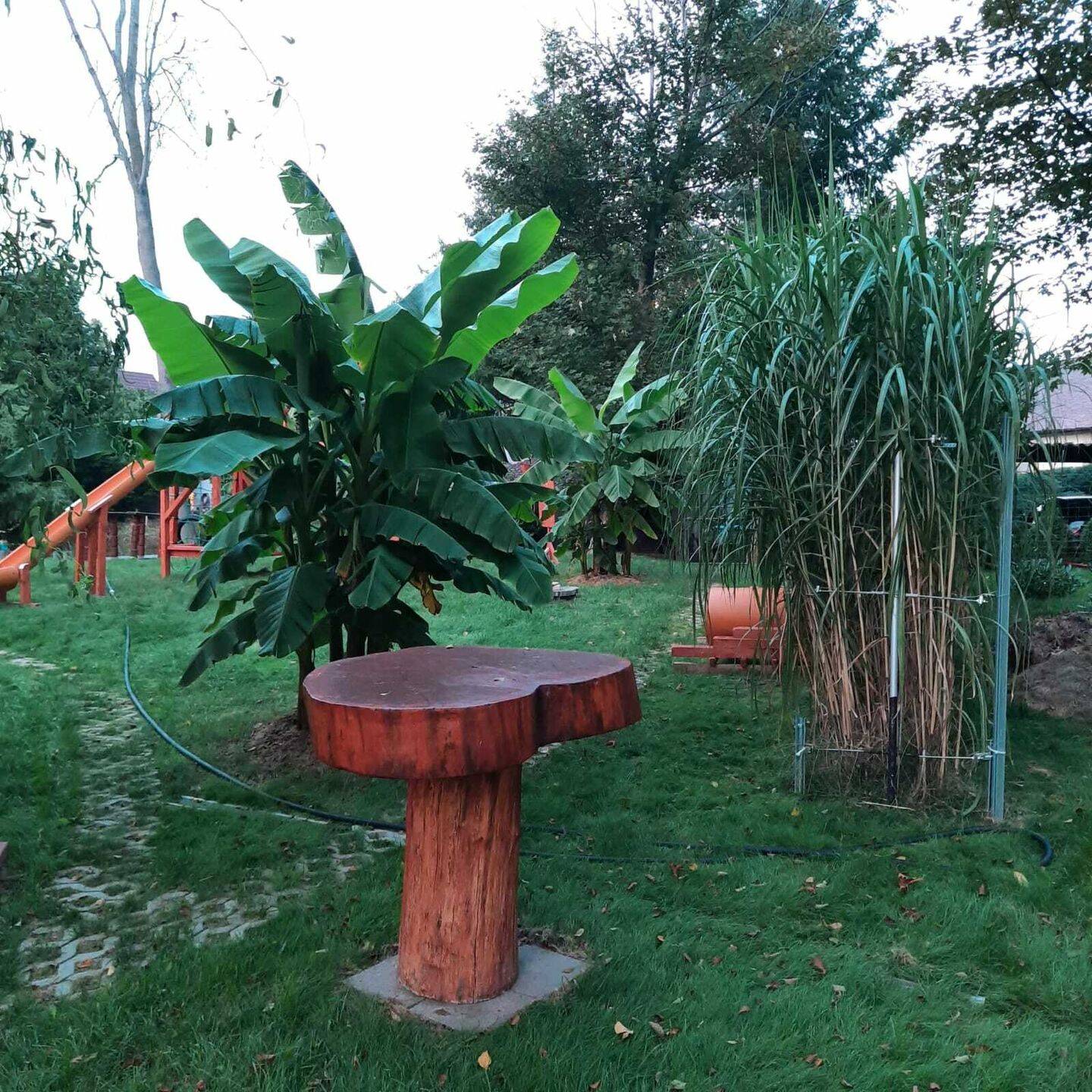 Bild 5