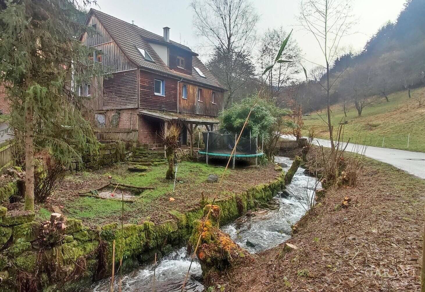 image-57054081