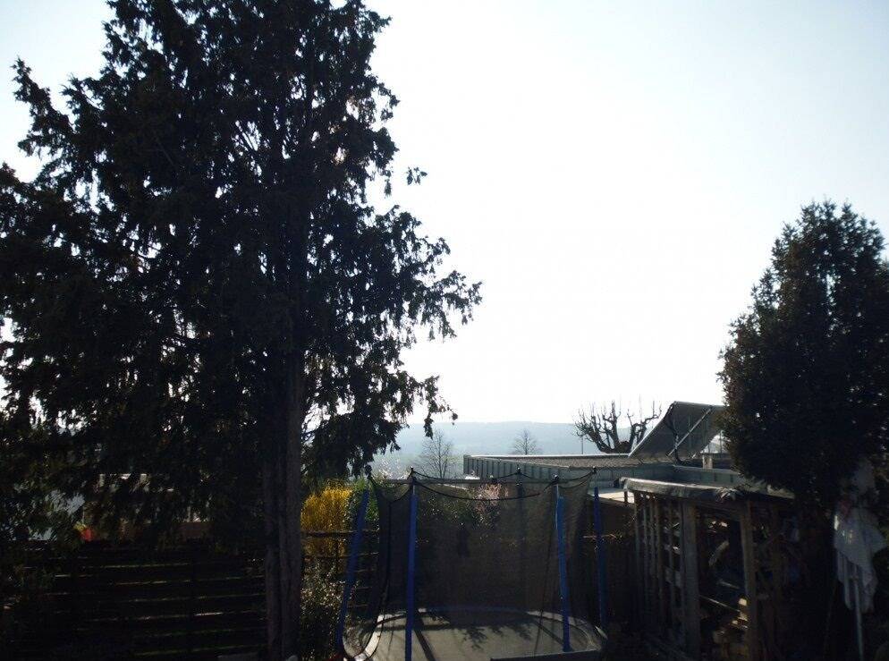 image-66516785