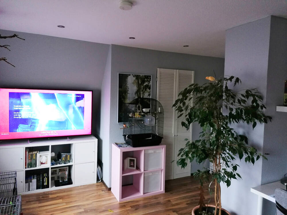 Bild 5