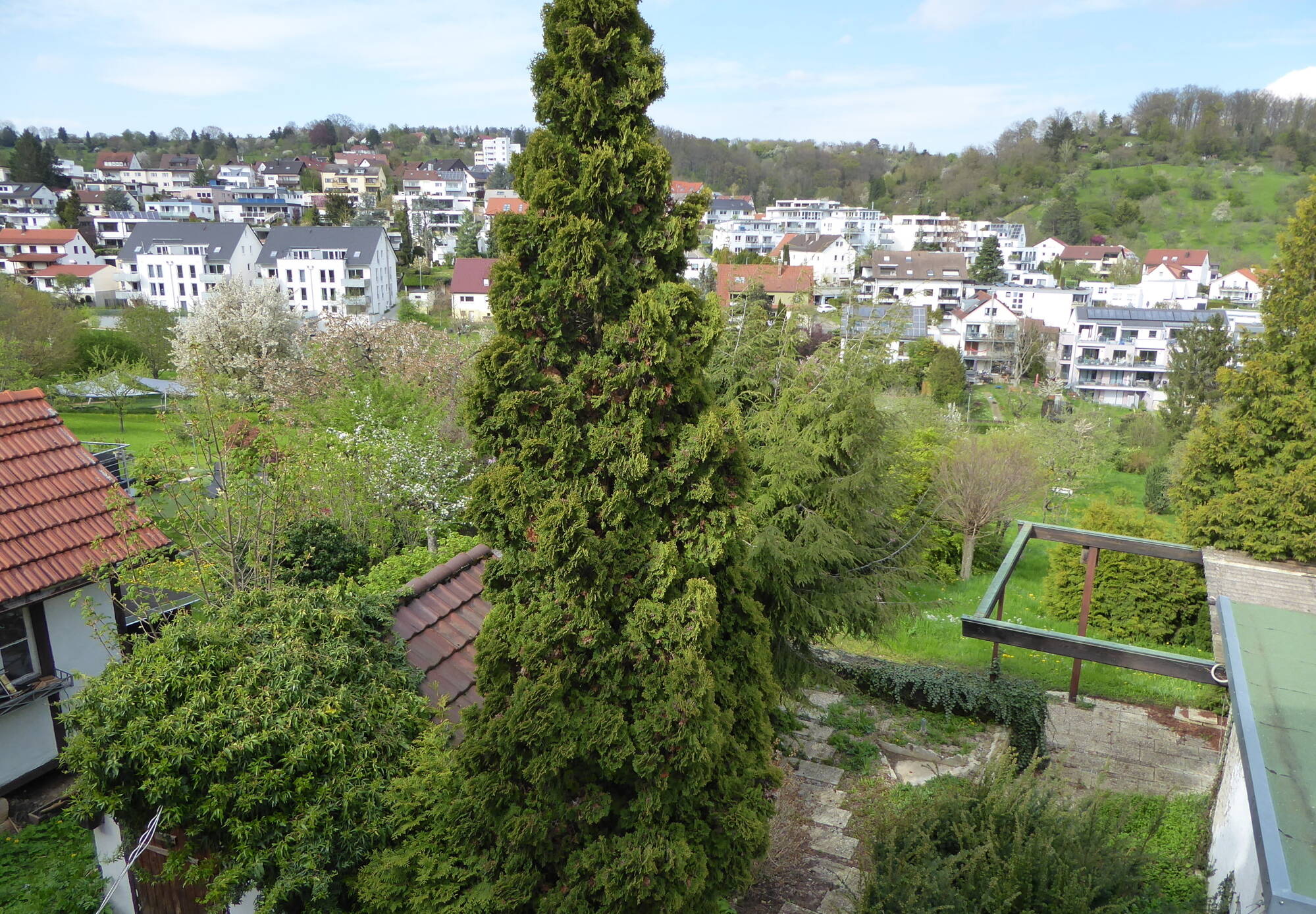 Bild 7