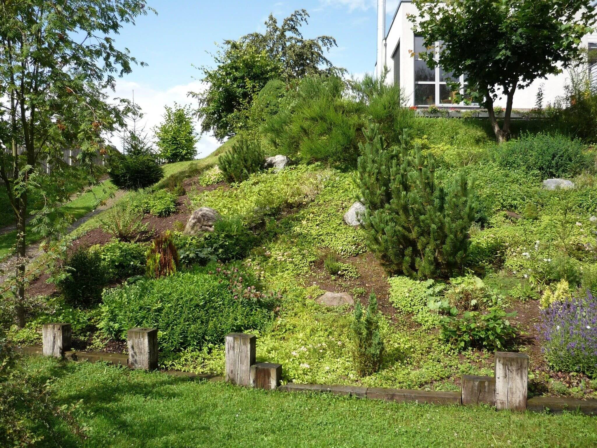 Bild 5