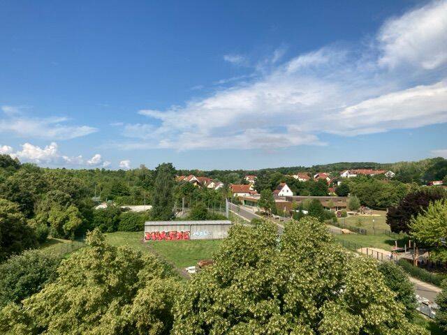 image-66554613