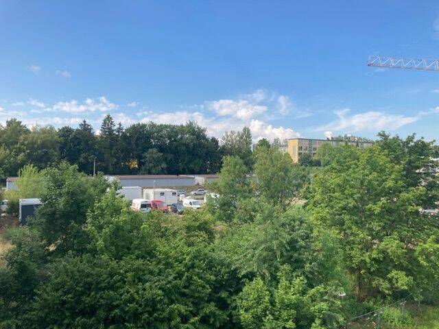 image-66554718