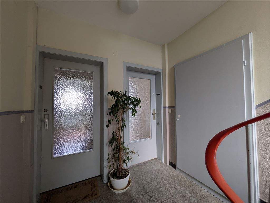 image-66558463