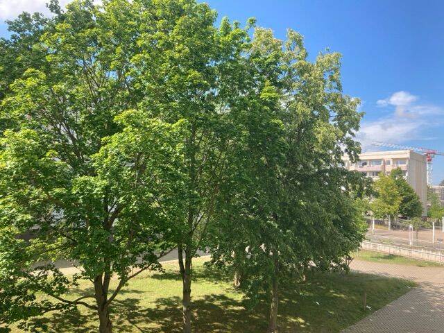 image-66562734
