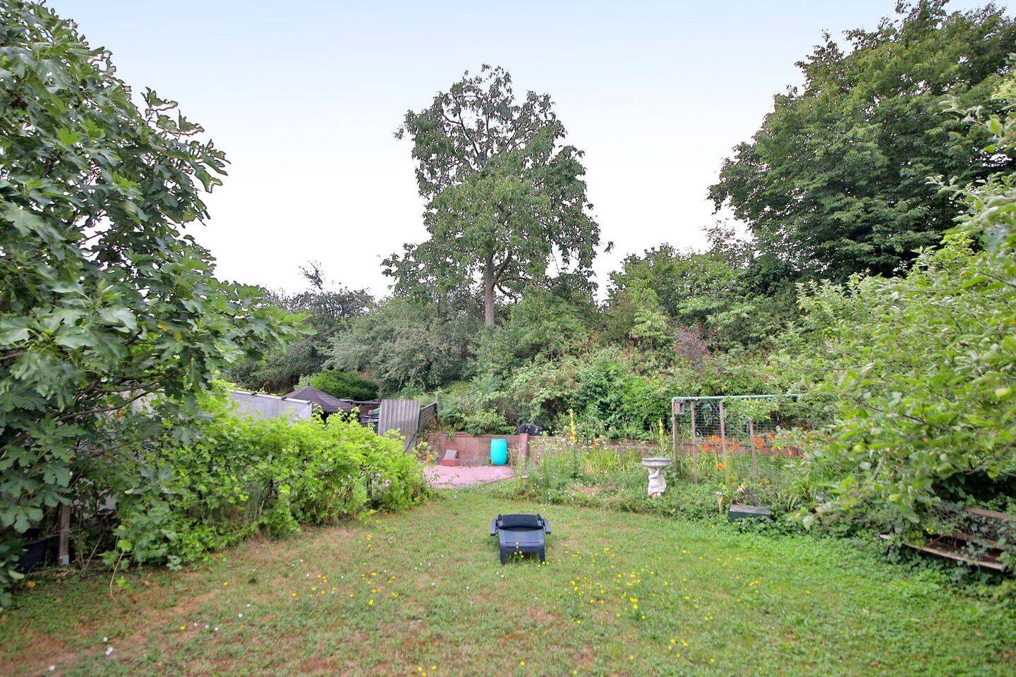 Bild 6